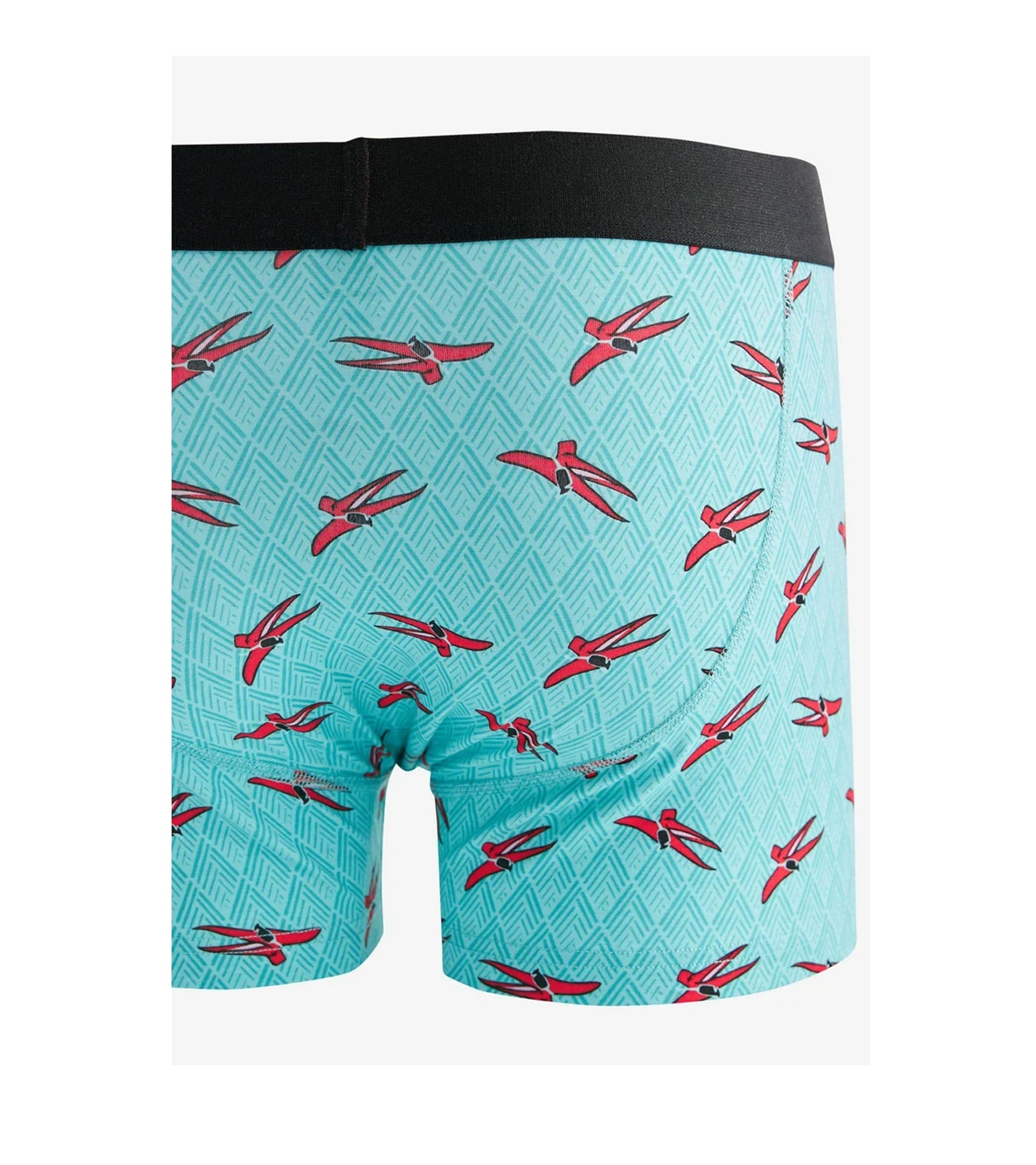Next Boxers 100% Cotton Cotton Stretch